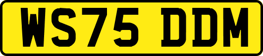 WS75DDM