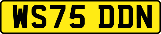 WS75DDN