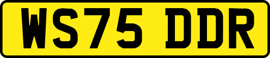 WS75DDR