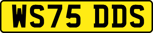 WS75DDS