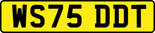 WS75DDT