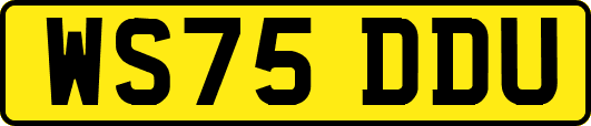 WS75DDU