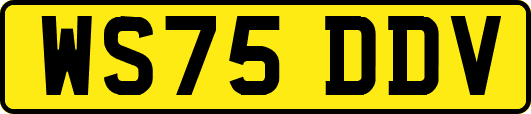 WS75DDV
