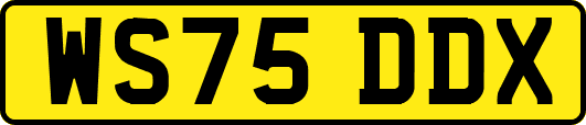 WS75DDX