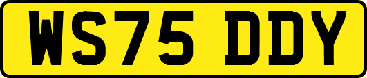 WS75DDY