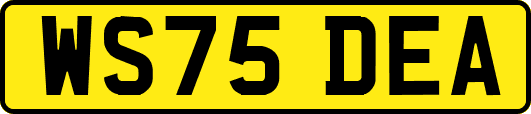 WS75DEA