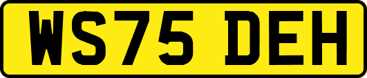 WS75DEH
