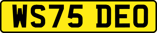 WS75DEO