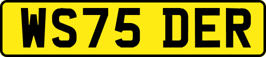 WS75DER