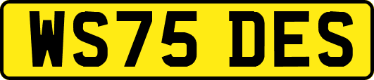 WS75DES