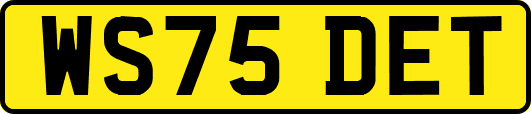 WS75DET
