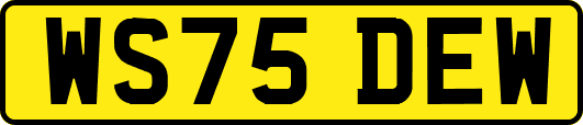 WS75DEW