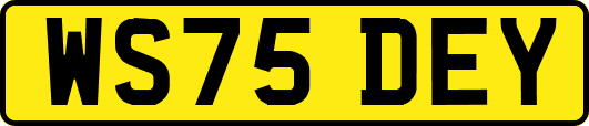 WS75DEY