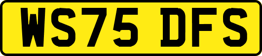 WS75DFS