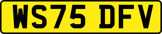 WS75DFV