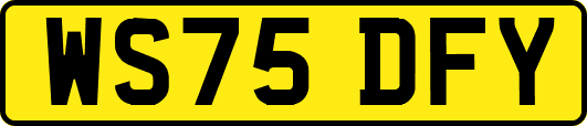 WS75DFY