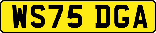 WS75DGA