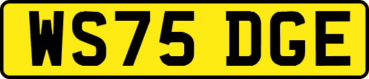 WS75DGE