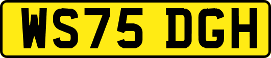 WS75DGH