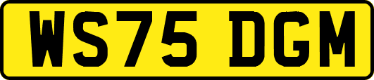 WS75DGM