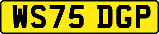 WS75DGP