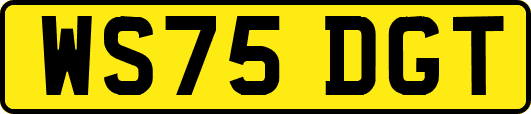 WS75DGT