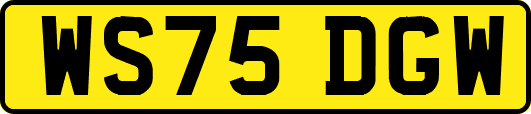 WS75DGW