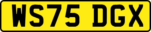 WS75DGX