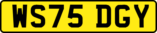 WS75DGY