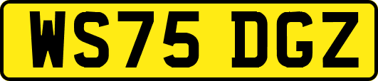 WS75DGZ