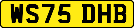 WS75DHB