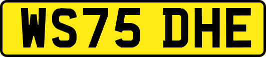 WS75DHE