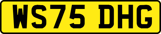 WS75DHG