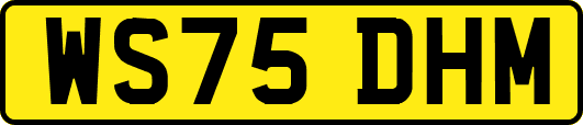 WS75DHM