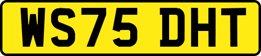 WS75DHT