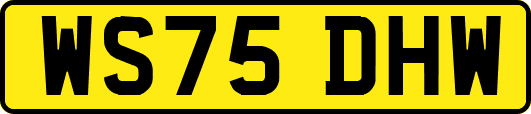 WS75DHW