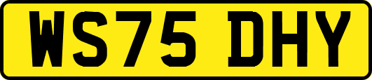 WS75DHY