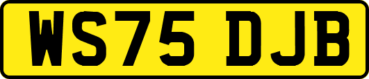 WS75DJB