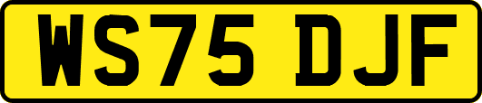 WS75DJF