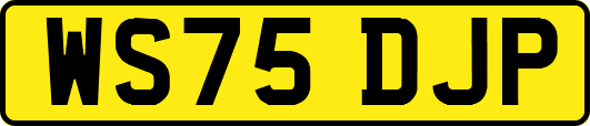 WS75DJP