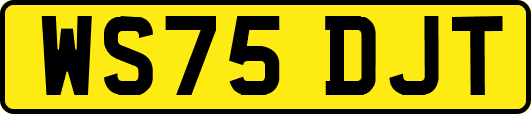 WS75DJT