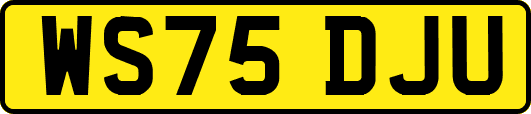 WS75DJU