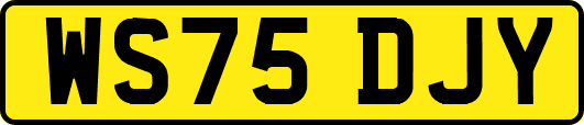 WS75DJY