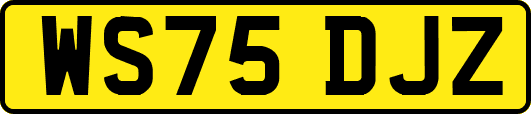 WS75DJZ