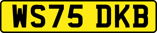 WS75DKB