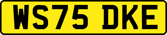 WS75DKE