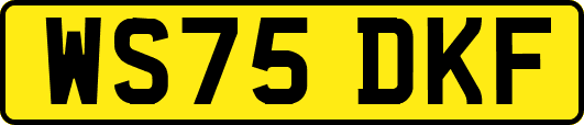 WS75DKF