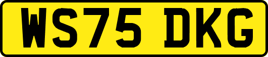 WS75DKG