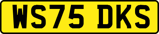 WS75DKS