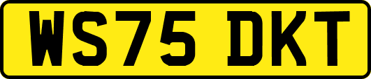 WS75DKT